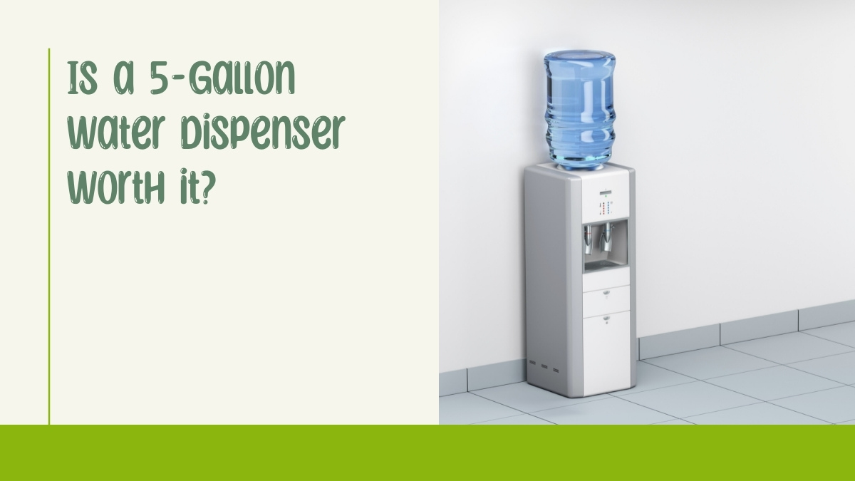 Is a 5-gallon water dispenser worth it?