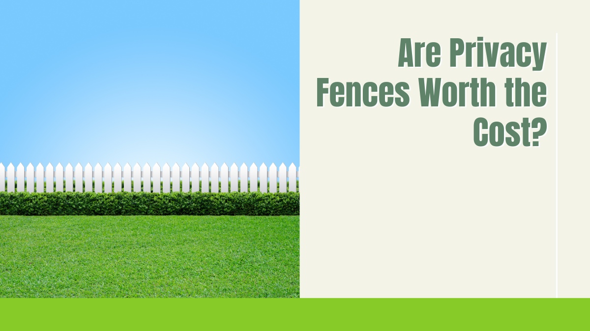 Are Privacy Fences Worth the Cost?